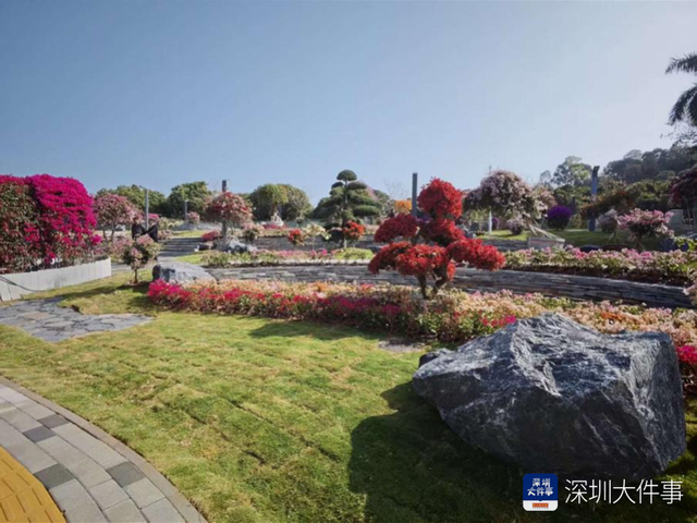 春日限定！“花事顶流”如约而至！