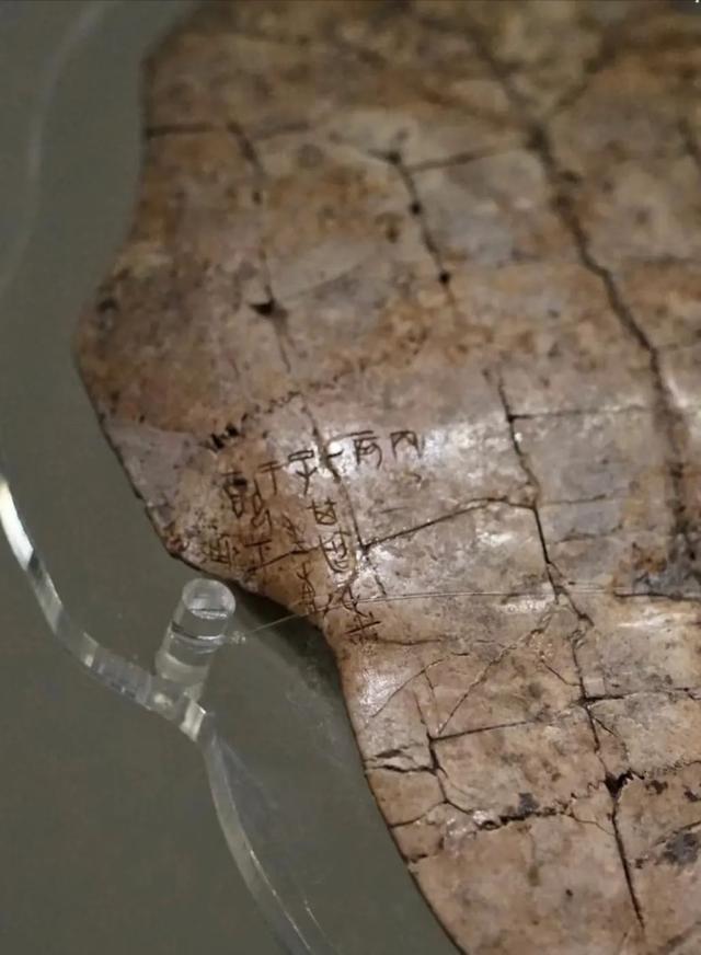开学第一课，云游河南探寻“写意中国”