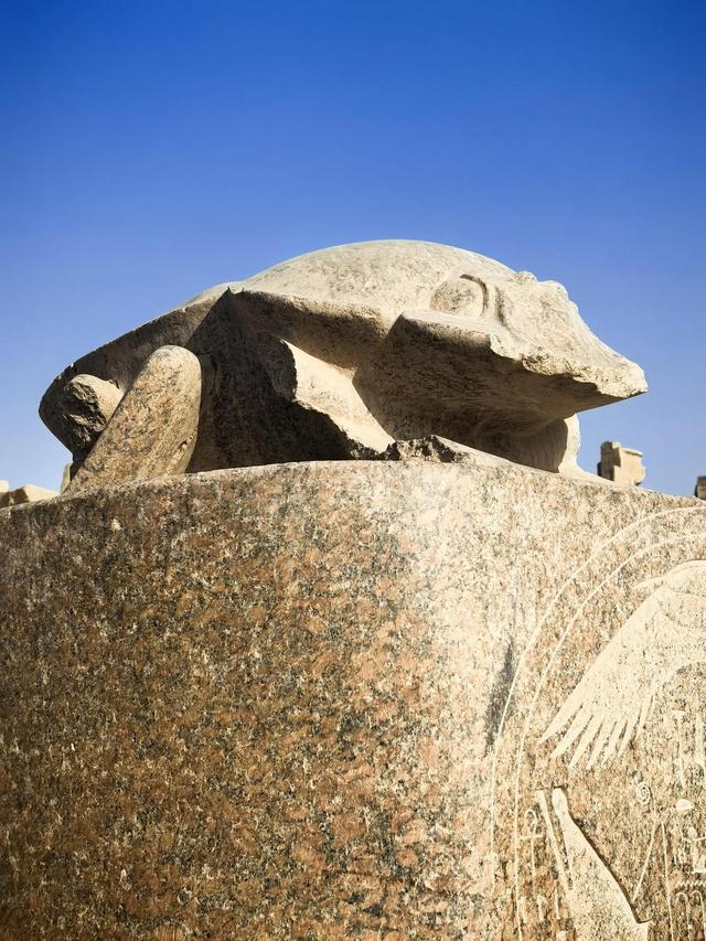 晚潮｜“迷失”在卡纳克石柱森林中