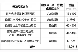 鄞州中心城区内5个片区拟征地约1278亩 包括仇毕、姜山这些地方图片