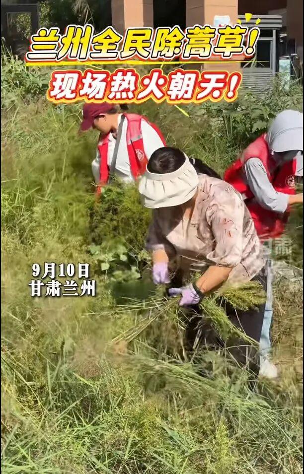 兰州的丹霞山绿了，多少人却高兴不起来