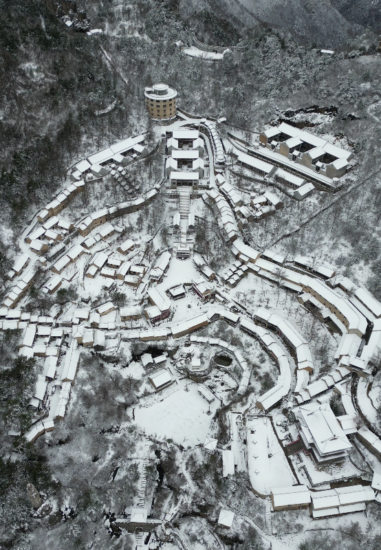 洛阳的第一场雪，来了！