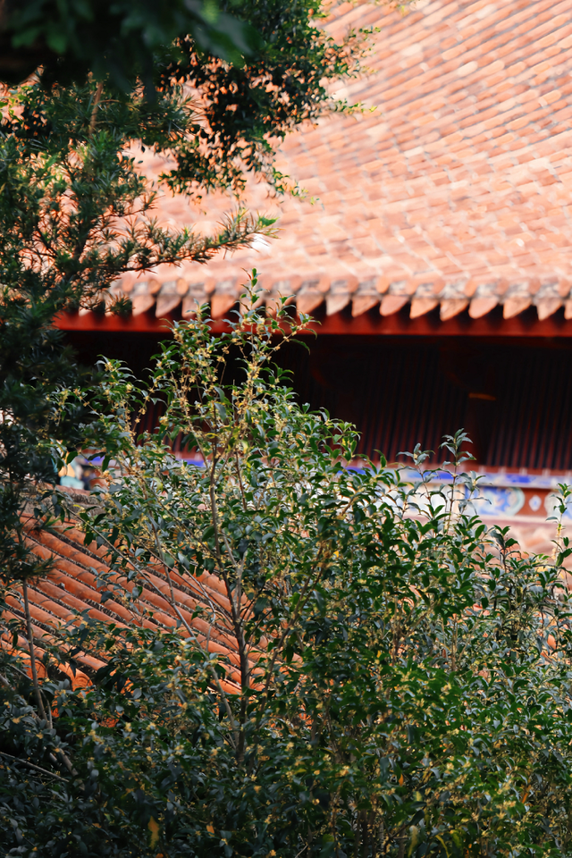 破案了！西街飘散的香味，源头竟然在开元寺