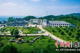 宜宾高县：产业带动近30万人就业创业图片