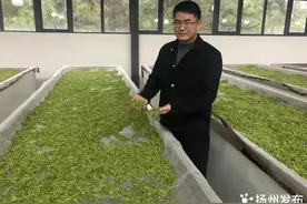 新春走基层｜江苏扬州：一根扁担挑出“茶味人生”图片