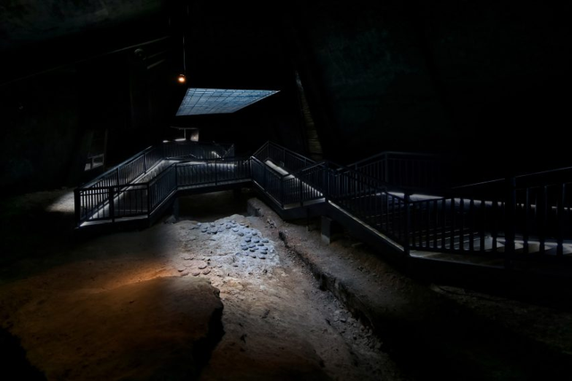 从化石标本到文旅名片，地质遗产活化的“郧阳答案”