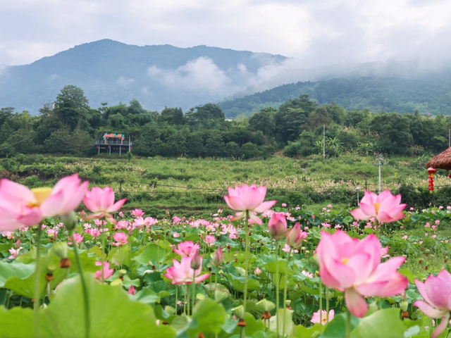9天长假去哪玩！福州上榜春节热门旅游目的地