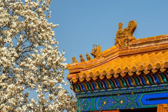 在北京花2元看“海”，这古早景点彻底翻红