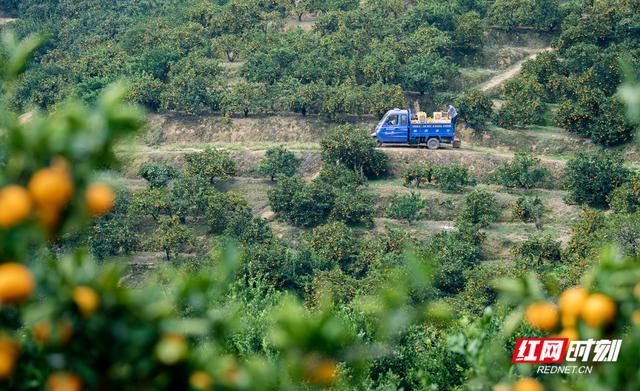 石门洞开，山水含章丨我们奔县吧·石门县篇