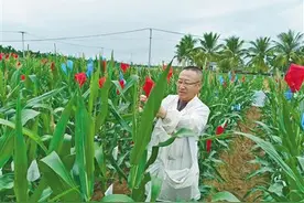 “科技种”激活乡村振兴新动能图片
