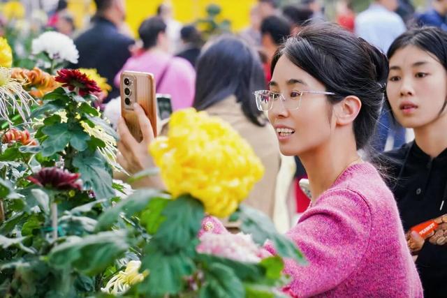 镇海老城金秋菊展来啦！这些地标等你打卡→