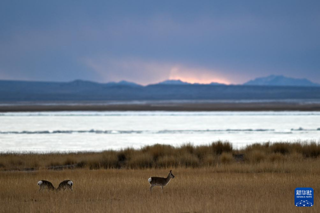 走进阿尔金山 镜遇秘境昆仑