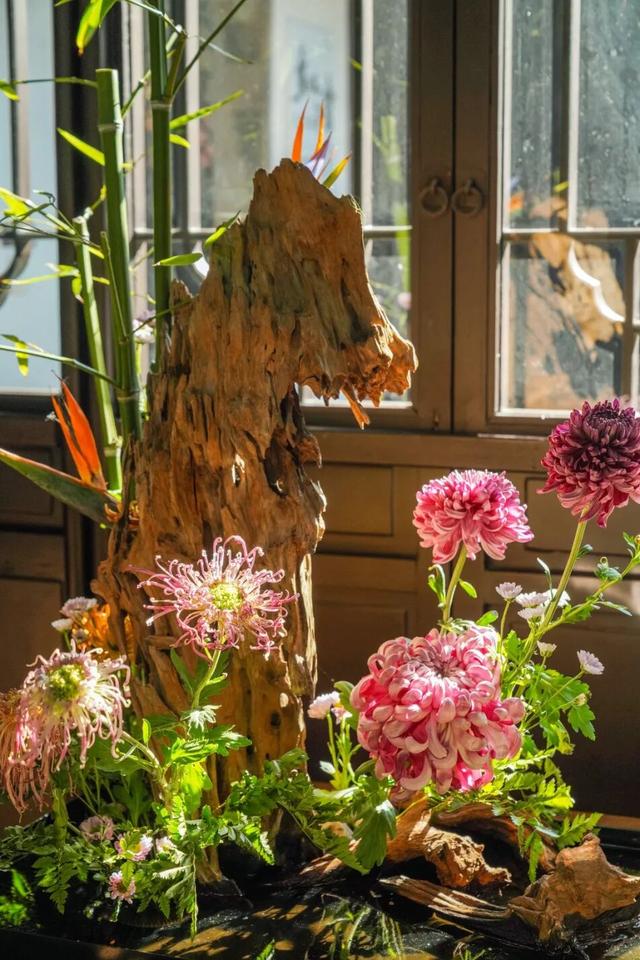 “美神”降临！太仓限定秋日美景，真的“杀”疯了！