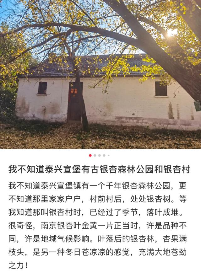 卷了一周的江浙沪白领,周末又去这个县城排队