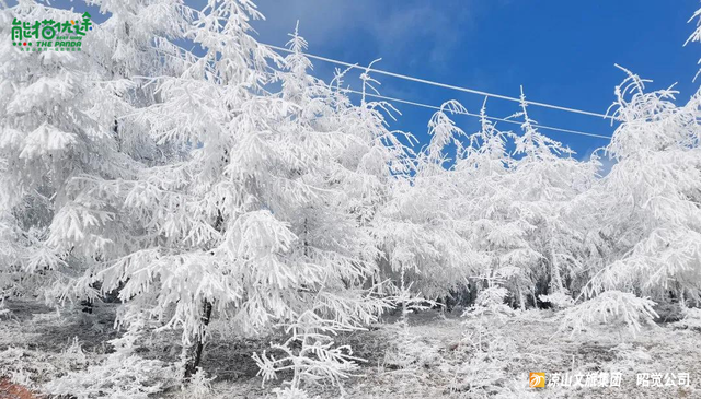 【冬季暖阳 凉山不凉】凉山谷克德：在云端雪境，赴一场川西冬日之约