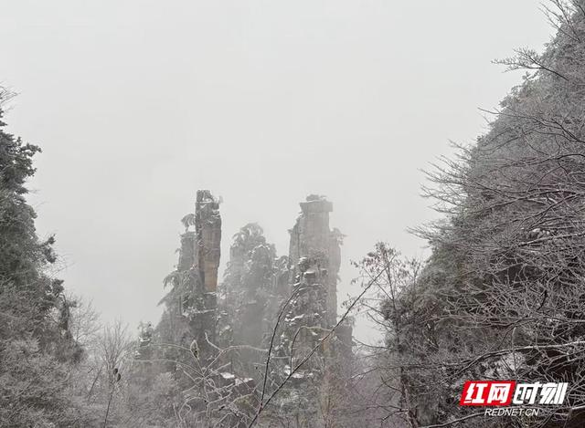 雪落奇峰！张家界把冬天绘成了水墨仙境