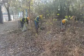 河道旁林地里藏垃圾，养护队清理花了两小时图片