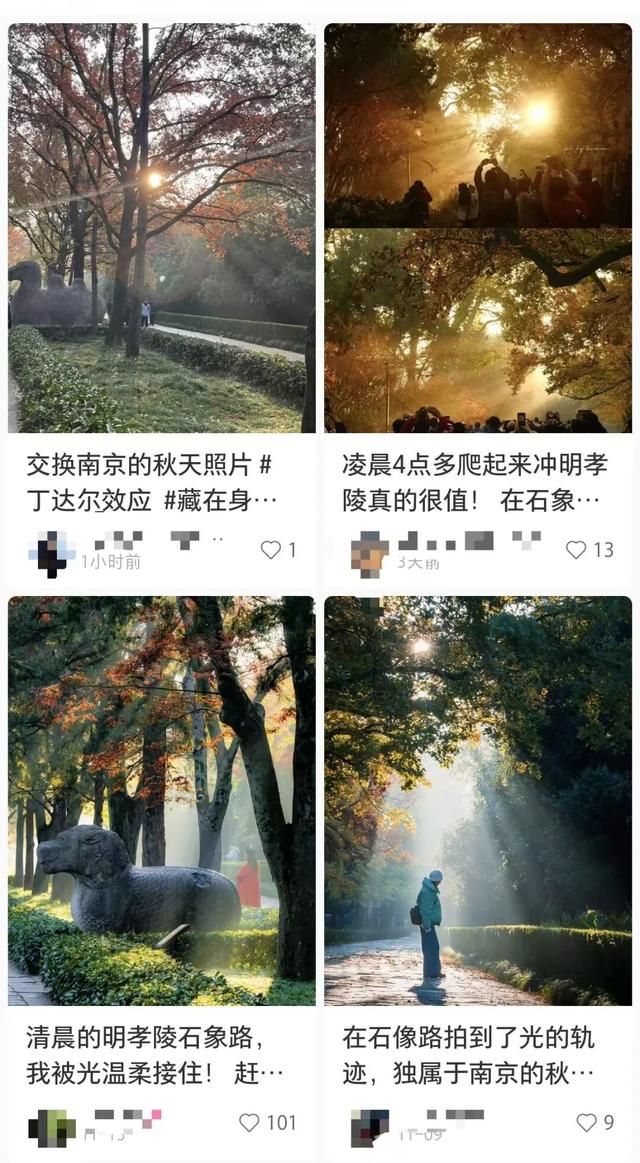 清晨5点，南京这里开始上人了