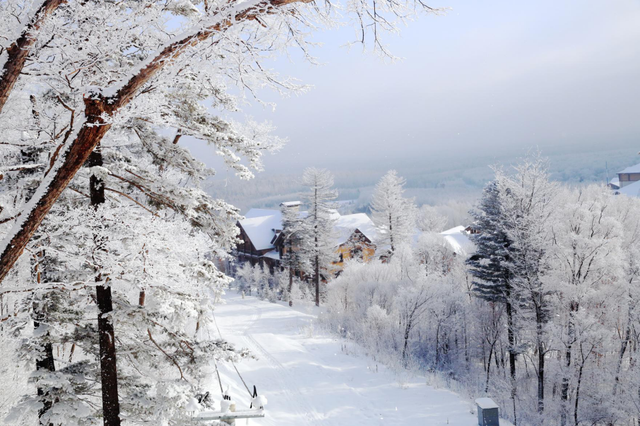 飞雪沐泉 乐享白山 | 雪假来白山，“惠上加惠”！！！