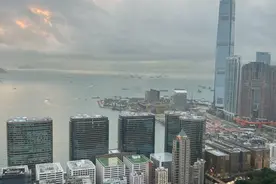 陈佳勇：仙鹤神针和其他图片