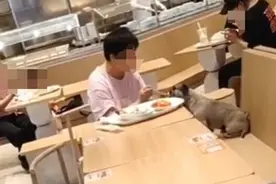 宠物主人餐厅内与狗共用餐具，“宠物友好”也要有所限制图片