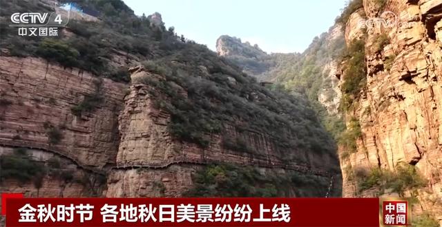 金秋时节各地美景纷纷“上线” 多元业态拓展“秋日经济”新空间