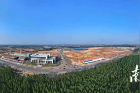 国有资产从沉睡到流通运转！雷州国企“巨轮”向新起航图片