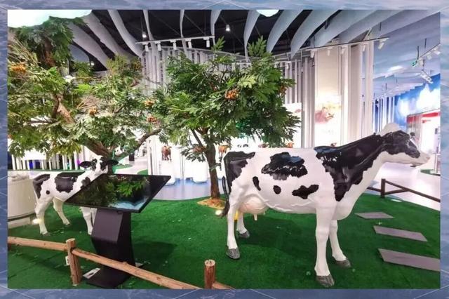 跑半马，游增城！这些线路带你畅游增城→