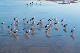 洪泽湖畔，大美水乡的司法守护者图片