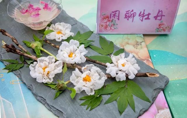 从山野到庭院，解锁“天彭牡丹”城市IP的“彭州路径”