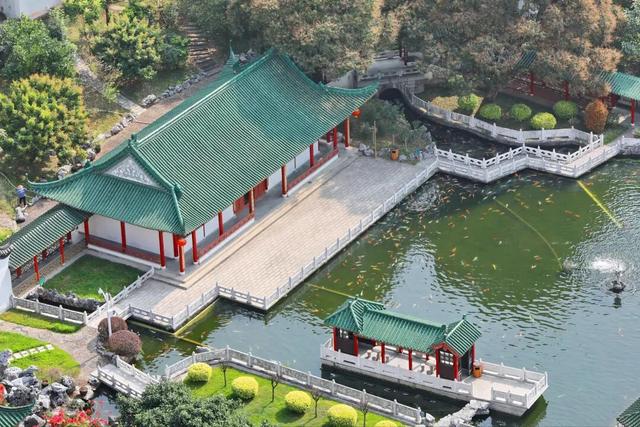 大湾区国庆游“天花板”！福田街道这 3 条宝藏路线速收藏