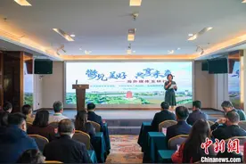 20家海外媒体参访广西玉林 聚焦侨乡发展变化图片