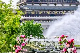 @全国教师，免门票！图片