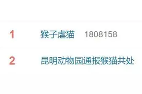 “猴猫共处”引争议！昆明动物园发布最新说明图片