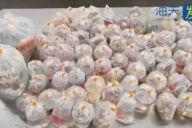 查获161条活体观赏鱼！海关提醒图片