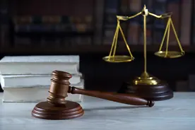 65岁老人被狗飞扑惊吓摔伤致残，起诉索赔15万元 狗主人母子被判赔8万余元图片