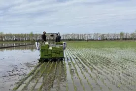 北大荒：智慧农机赋新能 黑土春耕“科技范儿”图片
