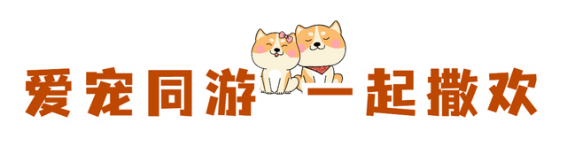 你手里的票根，又升值了！