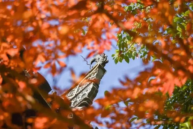宣城的“橙黄橘绿”正在加载中■■■■■■□
