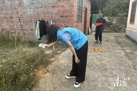 连州西岸镇社工们撒蚁药灭红蚁，为困难群众办实事图片