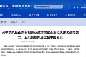 第八批山东省制造业单项冠军企业公示 德州23家入选图片