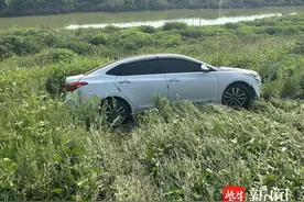 真是危险啊！遇急弯道司机未减速，车辆失控冲下河堤图片