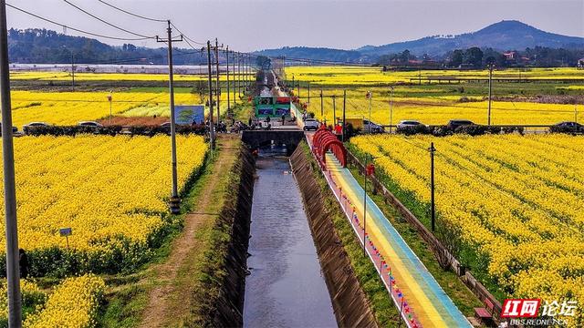 【赴春之约】株洲人不必远行！渌口洪塘，送你一个顶配版春天