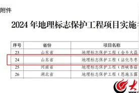 全国首批地理标志保护工程实施名单公布 “沾化冬枣”入选图片