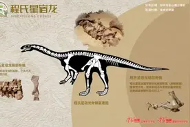 恐龙研究所 | 恐龙也“群聊”？史前巨兽也有“胖友圈”——程氏星宿龙图片