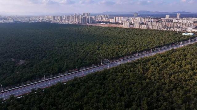 乘着高铁冬游南海 解锁宝藏旅居目的地