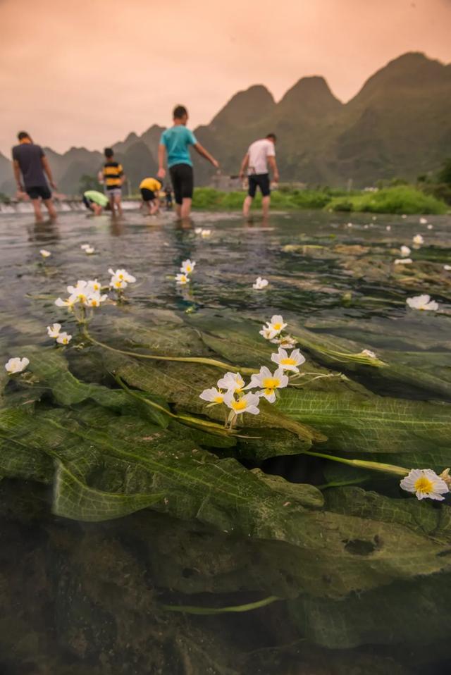 成立70周年！今天，用50图带你走进魅力瑶山