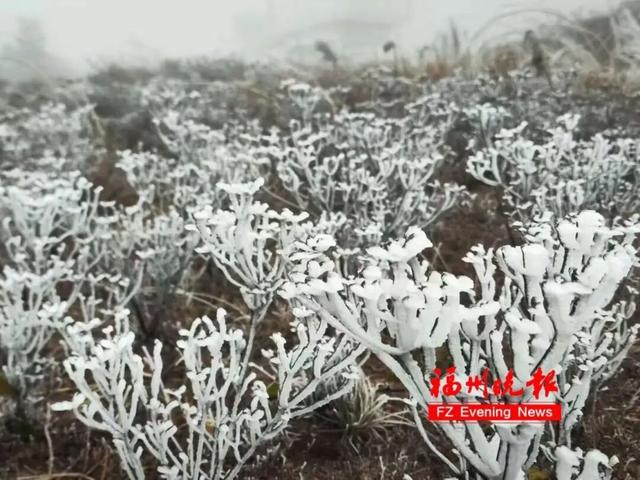 气温过山车！福建明天最低-4℃，周末直冲20℃