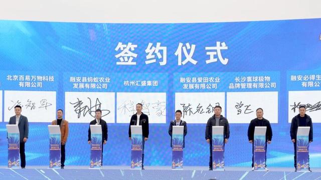 金桔飘香迎客来 农文旅商谱新篇——融安县第十六届金桔文化旅游嘉年华盛大启幕