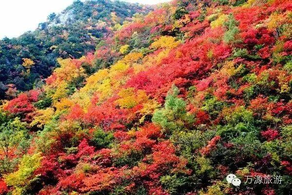 全国百强！达州2地上榜！